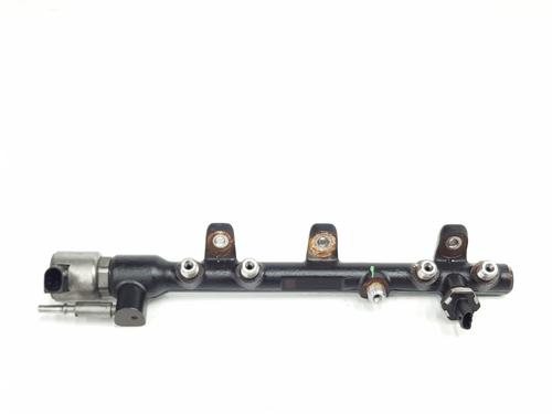 Used Injection rail RENAULT MASTER III Van (FV) 2.3 dCi 100 RWD (FV0B, FV0H, FV0K) (101 hp) 29029064