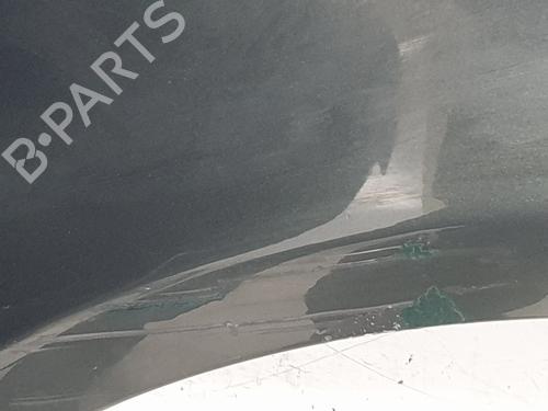 Left front fenders LAND ROVER RANGE ROVER SPORT I (L320) 2.7 D 4x4 | BP22988493C41 