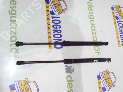 Hood lift support BMW 1 (E87) 118 d | BP14118455C139 