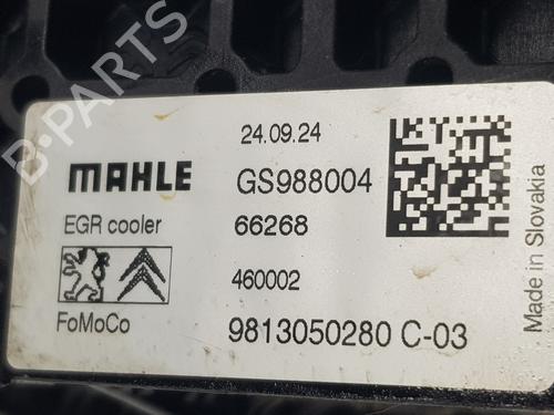 Egr OPEL COMBO E Tour / Life (K9) 1.5 | BP31904035M69