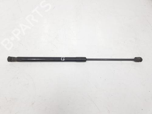 Hood lift support AUDI Q7 (4LB) 3.0 TDI quattro | BP14079166C139 