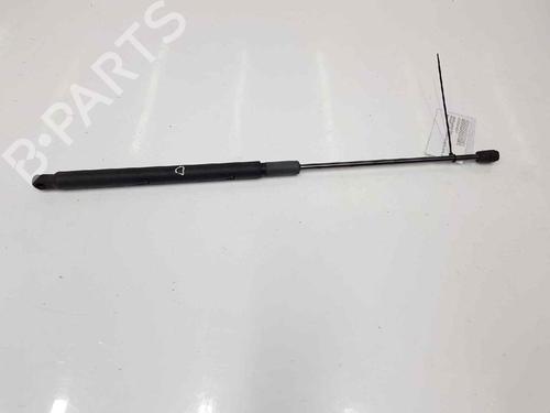 Hood lift support MERCEDES-BENZ GLK-CLASS (X204) 220 CDI (204.902) | BP14072787C139 