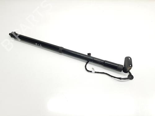 Tailgate lift support PORSCHE CAYENNE (92A) 4.8 Turbo | BP30438229C138