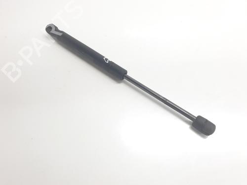 Hood lift support LAND ROVER RANGE ROVER EVOQUE (L538) 2.0 D 4x4 | BP24802264C139 