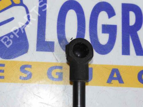 Tailgate lift support BMW 1 (F20) 118 d | BP14120665C138