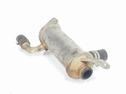 Egr LAND ROVER DISCOVERY III (L319) 2.7 TD 4x4 | BP31805805M69