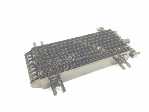 Oil radiator RENAULT AUSTRAL | BP32216028M33