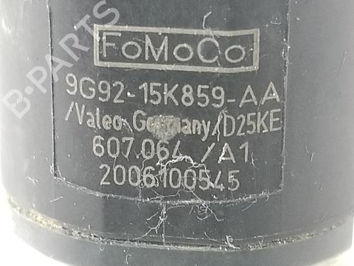 Electronic module LAND ROVER FREELANDER 2 (L359) 2.2 TD4 4x4 | BP14089689M83 