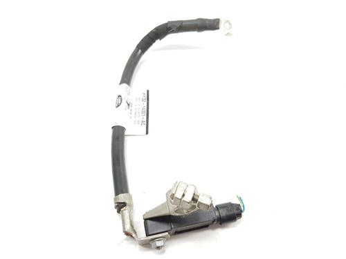 Cable LAND ROVER DISCOVERY V (L462) 3.0 Td6 4x4 | BP16569820E12