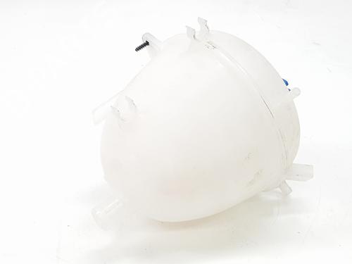 Expansion tank VW CRAFTER Platform/Chassis (SZ_)  | BP29535100C120 