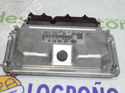 Engine control unit (ECU) SEAT IBIZA III (6L1) 1.6 16V | BP802001M57 