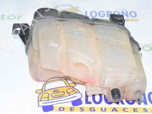 Expansion tank FORD MONDEO IV (BA7) 2.0 TDCi | BP1635135C120 