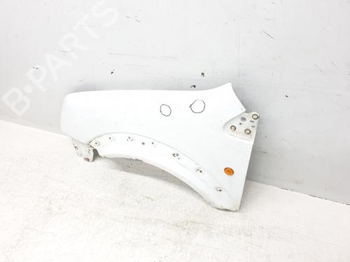 Left front fenders FORD TRANSIT CONNECT (P65_, P70_, P80_) 1.8 TDCi | BP29575399C41 