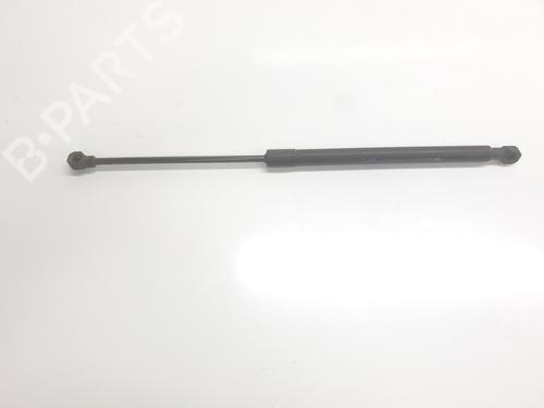 tailgate-lift-support-renault-captur-ii-hf_-2020-34381234 main image