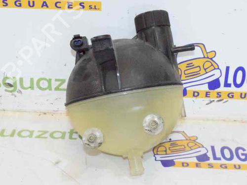 Expansion tank MERCEDES-BENZ A-CLASS (W169) A 180 CDI (169.007, 169.307) 1695000149 | A1695000149 |