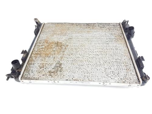 Used Water radiator RENAULT AUSTRAL [2022-2026]  32712756
