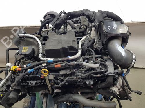 Used Engine LAND ROVER RANGE ROVER EVOQUE (L551) [2018-2026]  31991976