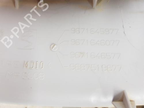 Interior roof light CITROËN C4 II (NC_) 1.6 BlueHDi 100 | BP25868138I8 