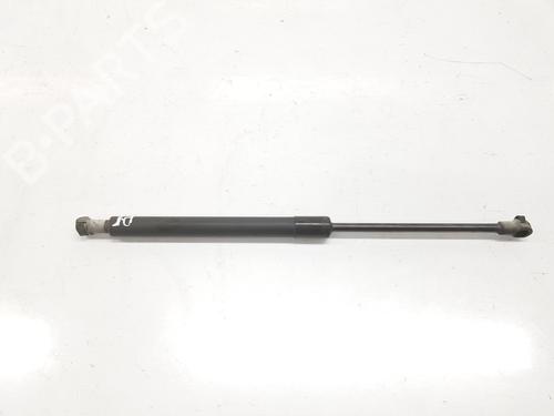 Used Hood lift support BMW 1 (E87) 118 d (122 hp) 14119604