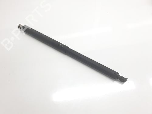 Tailgate lift support BMW X1 (F48) sDrive 18 d | BP22334674C138 