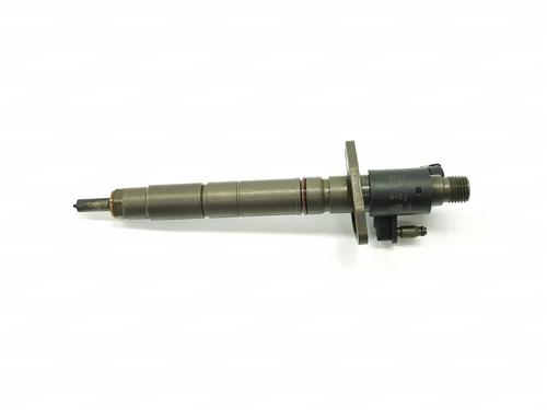 Injector LAND ROVER RANGE ROVER SPORT I (L320) 3.0 D 4x4 | BP24866495M100 