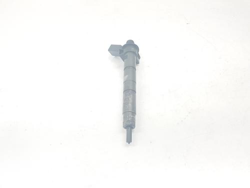 Injector BMW X6 (E71, E72) M 50 d | BP20199764M100 
