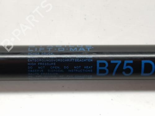 Tailgate lift support CITROËN DS4 (NX_) 1.6 VTi 120 | BP14112421C138 
