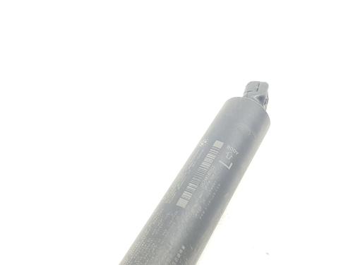 Tailgate lift support BMW X1 (F48) sDrive 18 d | BP21558434C138 