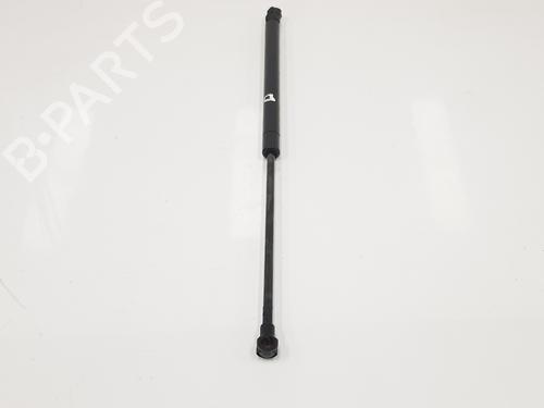 Hood lift support AUDI A3 (8L1) 1.9 TDI | BP20193324C139 