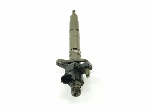 Injector LAND ROVER RANGE ROVER SPORT I (L320) 3.0 D 4x4 | BP24866492M100 