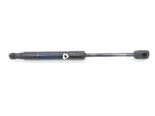 Used Hood lift support RENAULT SCÉNIC III (JZ0/1_) 1.6 dCi (JZ00, JZ12) (130 hp) 14085999