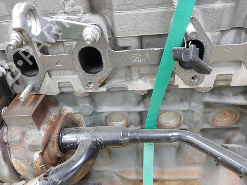 Engine FIAT PANDA (169_) 1.2 (169.AXB11, 169.AXB1A) | BP38037905M1  - Image 8