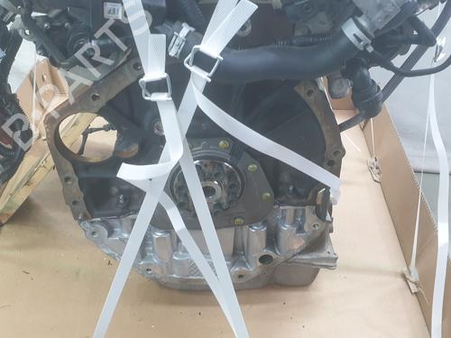 Engine NISSAN NAVARA NP300 Pickup (D23, D23T)  | BP34099135M1  - Image 6