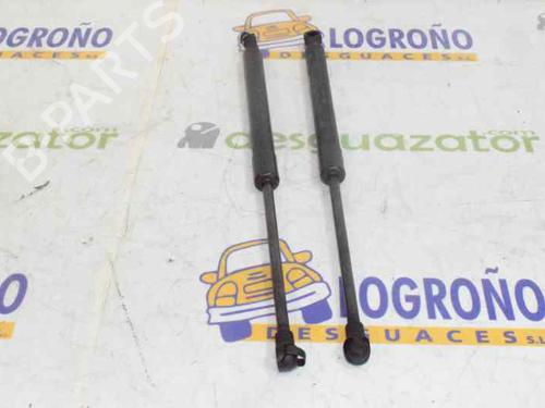 Hood lift support BMW 1 (E87) 118 d | BP14118103C139 