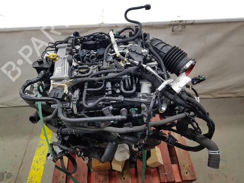 Motor Motor FORD FOCUS IV (HN) [2018-2026] 36699513 36699513