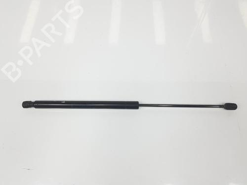 Used Tailgate lift support RENAULT MEGANE II Estate (KM0/1_) 1.5 dCi (KM0F, KM0T, KM2B) (82 hp) 14102264