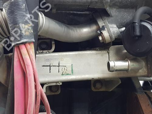 Engine NISSAN NV400 Van (X62, X62B) | BP38935824M1 - Image 5