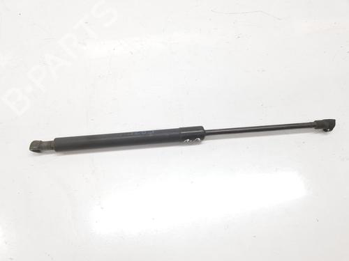 Used Hood lift support BMW 1 (E87) 118 d (122 hp) 14526153