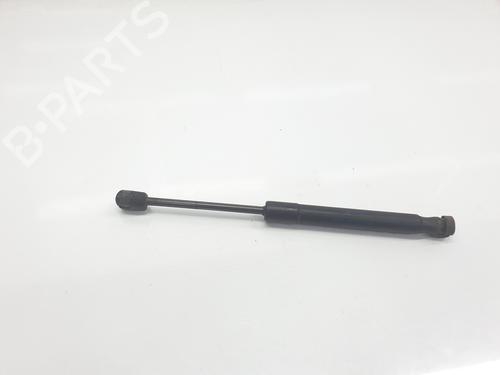 Tailgate lift support AUDI A4 B6 (8E2) 1.9 TDI | BP29611068C138