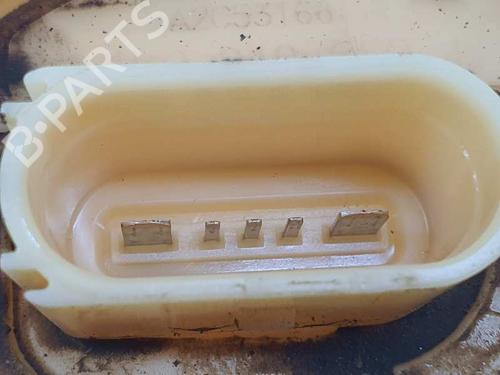 Fuel pump SEAT LEON (1P1)  | BP8173829M76 