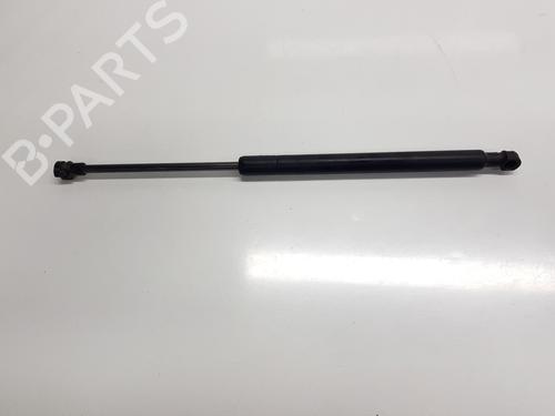 hood-lift-support-renault-arkana-i-lcm_-ldn_-2019-33625692 main image