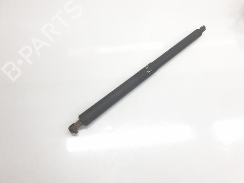 Tailgate lift support BMW X1 (F48) sDrive 18 d | BP22334674C138 