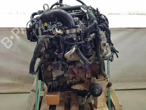 Engine FORD RANGER (TKE) | BP35981591M1 - Image 5