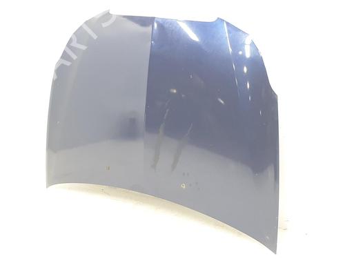 Hood LANCIA DELTA III (844_) 1.6 D Multijet (844.AXC11, 844.AXC1A) | BP16922992C1 