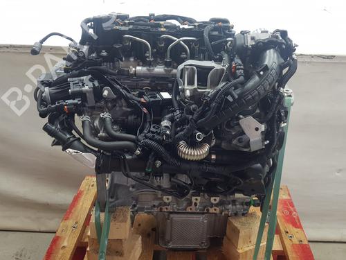 Engine FIAT SCUDO Van 1.5 Multijet 120 (506) | BP36840236M1 - Image 11