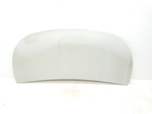 Used Hood RENAULT TRAFIC III Van (FG_) 1.6 dCi 140 (FGMA, FGMC) (140 hp) 30000341