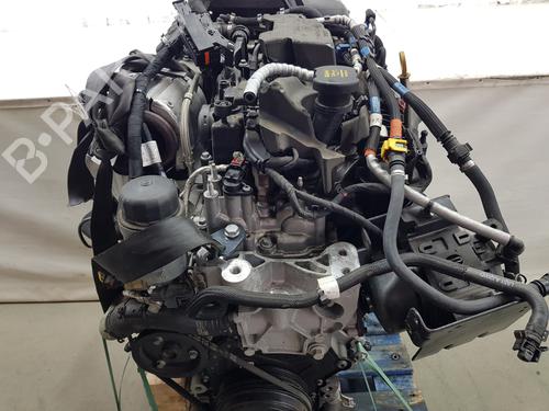 Engine LAND ROVER RANGE ROVER EVOQUE (L551) | BP31991976M1