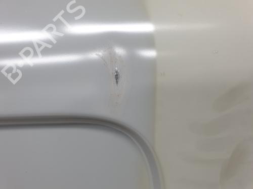 Right rear door RENAULT TRAFIC III Van (FG_)  | BP21003692C5