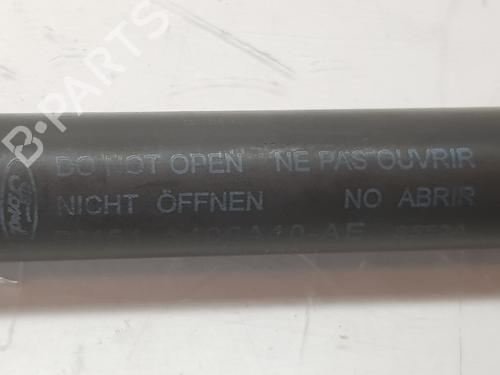 Tailgate lift support FORD FOCUS III 2.0 ST | BP15012425C138 