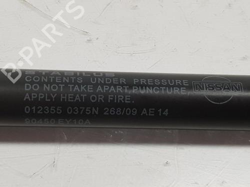 Tailgate lift support NISSAN QASHQAI / QASHQAI +2 I (J10, NJ10, JJ10E) 2.0 dCi | BP14102134C138 